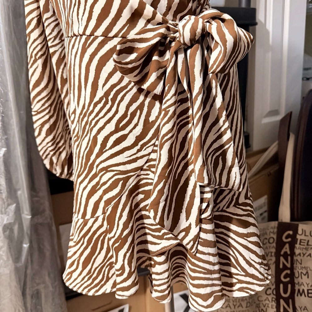 Miami Zebra Pattern Long Sleeve Dress - Picture 4 of 6